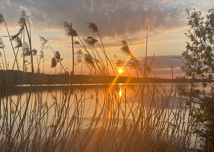 La Nébuleuse Notre-Dame-de-l'Isle